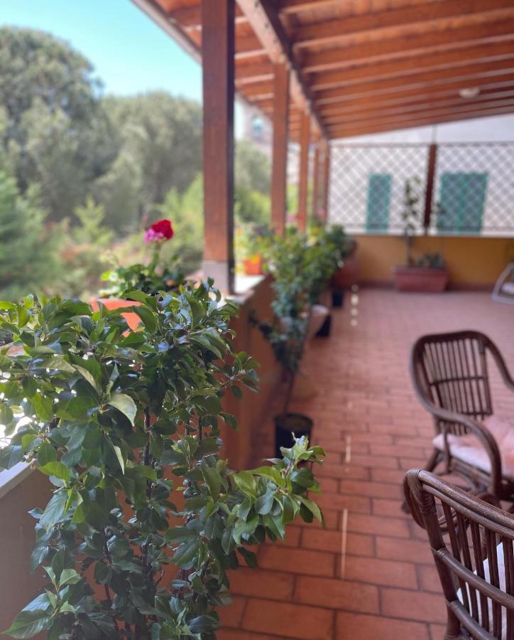 La Terrazza Dei Ciliegi Hotell Santa Maria Degli Angeli  Exteriör bild