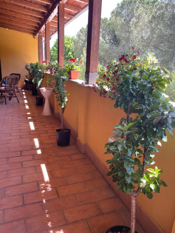 La Terrazza Dei Ciliegi Hotell Santa Maria Degli Angeli  Exteriör bild